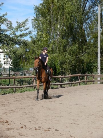 Babie Lato z Hucułami 2015